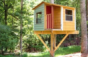 Cómo hacer una casa en un árbol