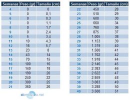 C Mo Calcular El Percentil De Un Feto Pasos Educar Doncomos