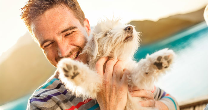 Cómo viajar con perros 17 pasos Ocio Doncomos