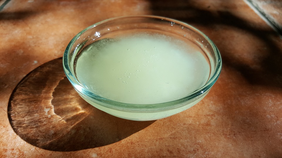 Cómo hacer aceite de coco