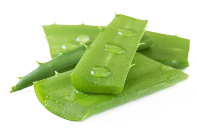 Aloe Vera