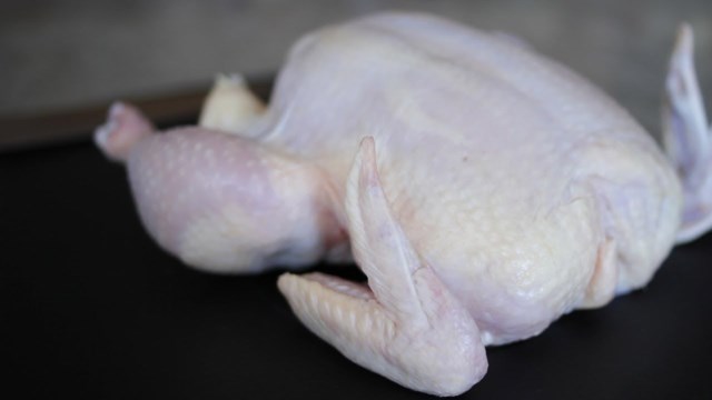 pollo