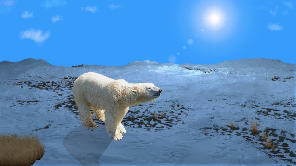 Cómo Diferenciar El Polo Norte Y El Polo Sur 10 Pasos Educar 7963