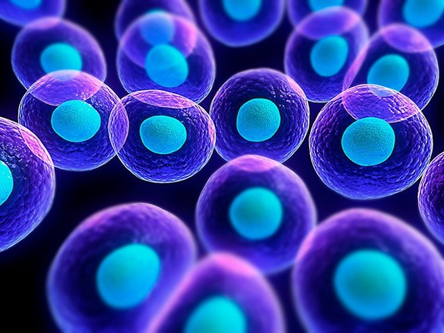 ramas de la biologia