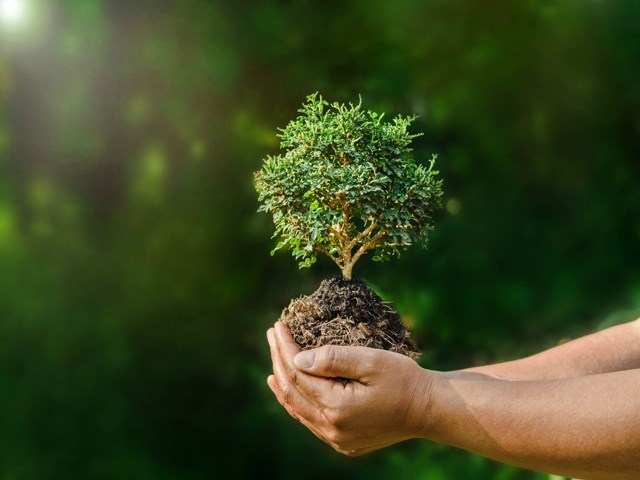 que es la naturaleza