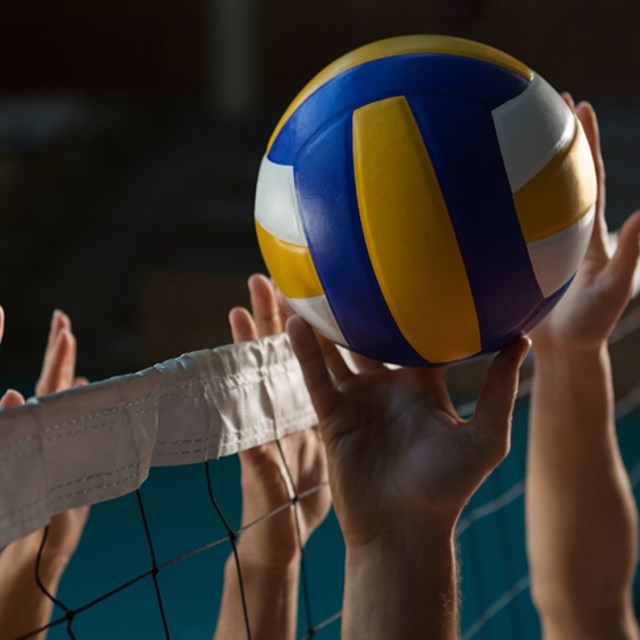 voleibol