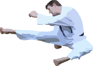 vector karate