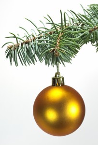 Juguetes , La Navidad árbol bola en , rama.