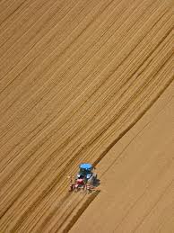 Cómo arar la tierra