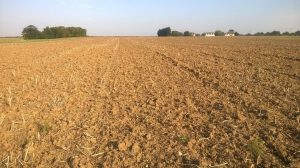 Cómo arar la tierra