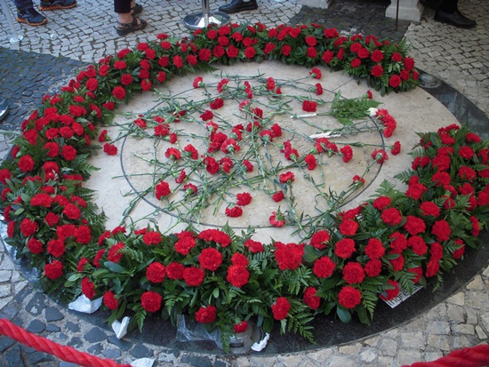 Claveles: Cómo cuidar claveles