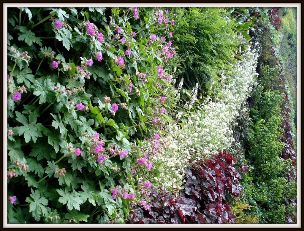 Jardín Vertical: Cómo hacer un Jardín Vertical