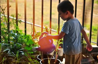 Actividades de jardinería para los niños