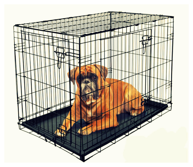 Cómo son las jaulas para perros