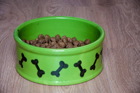 bowl with dry food for dog or cat
