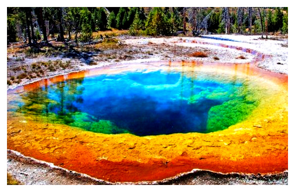Cómo es el parque de Yellowstone