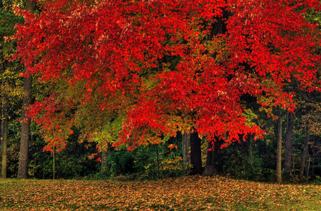 Qué es el equinoccio de otoño