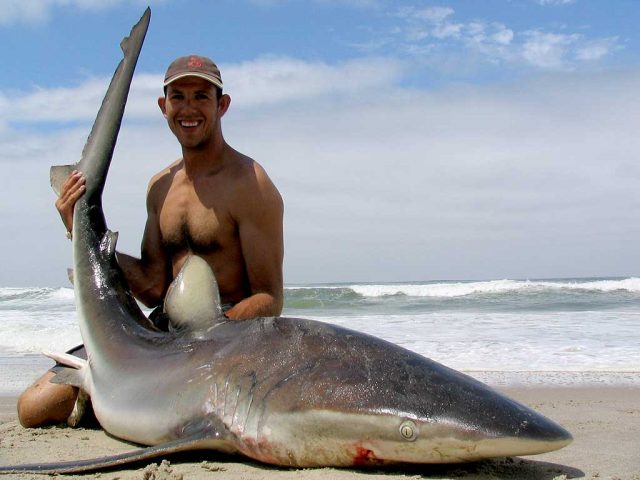 pescar tiburones