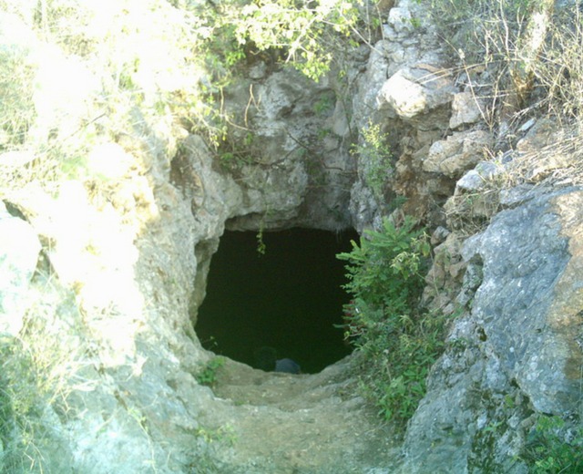 Cenotes