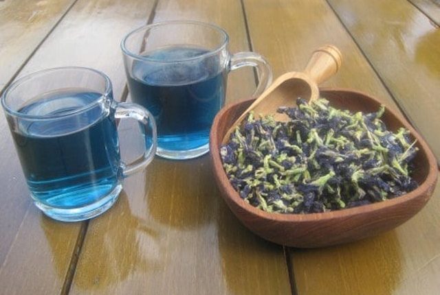 Tomar té azul para Bajar de Peso