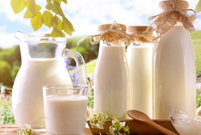 La leche y sus efectos para la nutricion