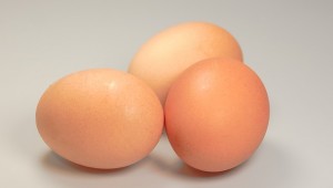 eggs-541763_640