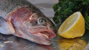 Cómo cocinar pescado
