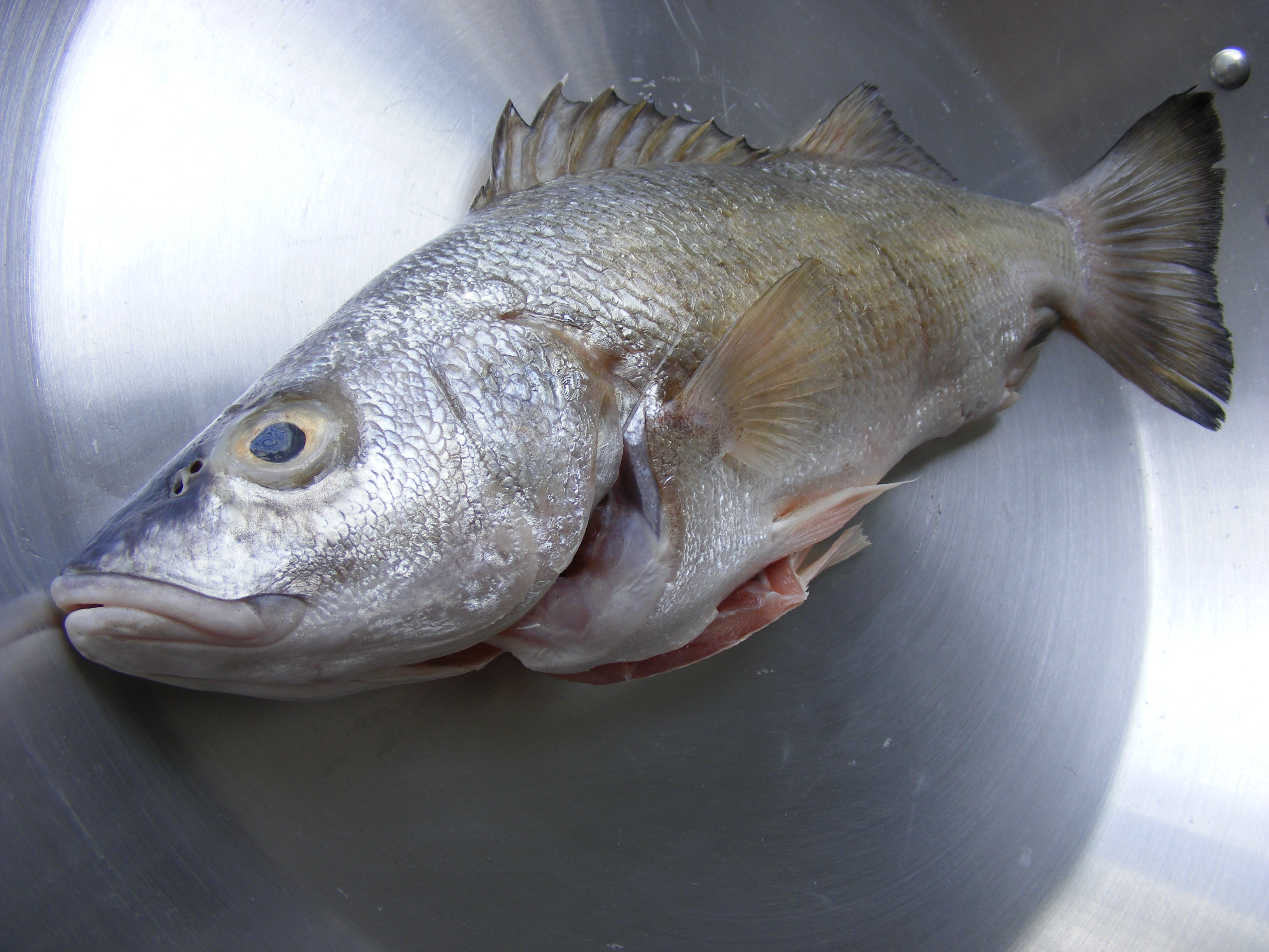 Cómo cocinar pescado