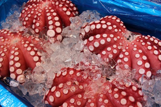 Cómo cocer el pulpo