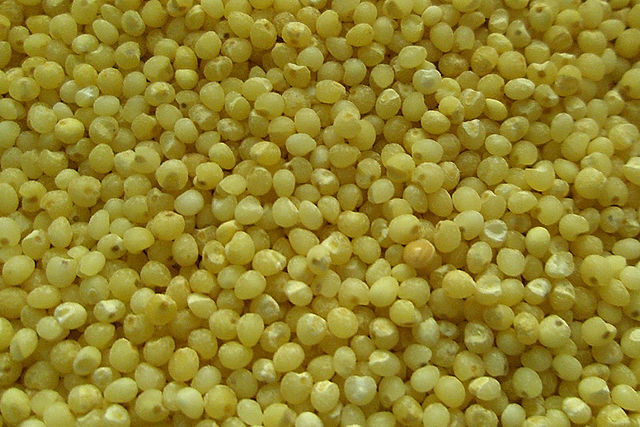 cocinar mijo