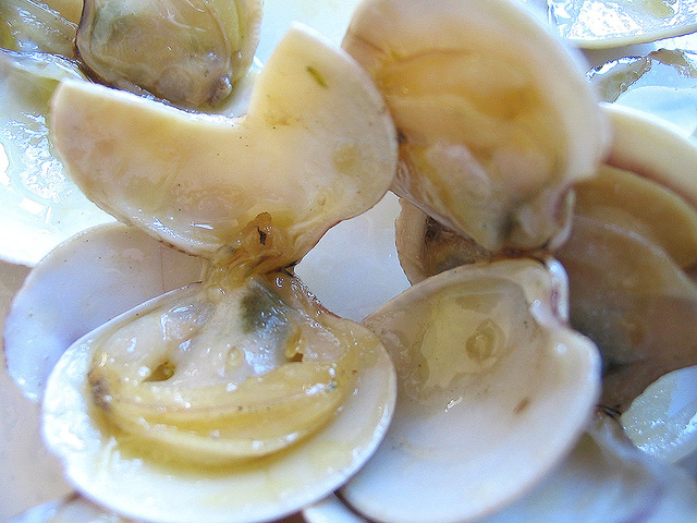almejas