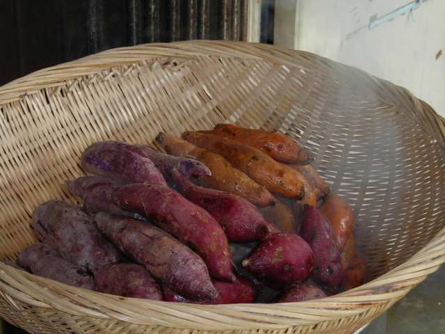 Cómo cocinar boniato.