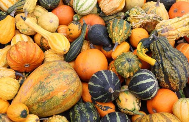 calabazas
