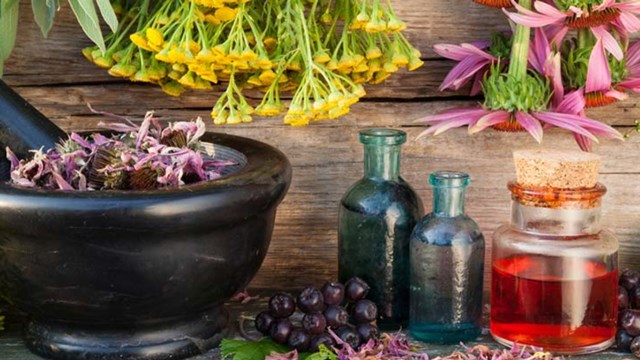 plantas medicinales