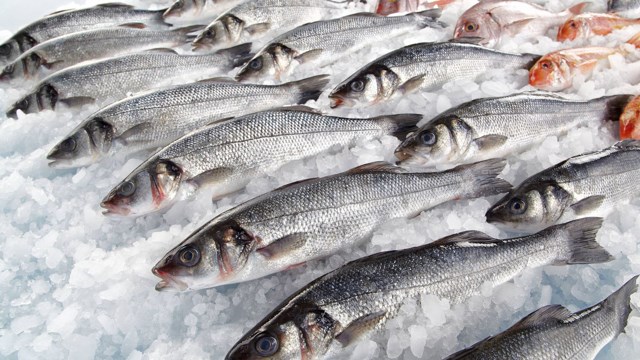 El pescado con sus recetas y consejos