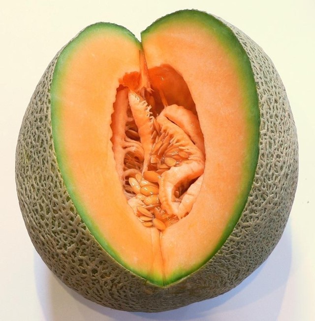 melón