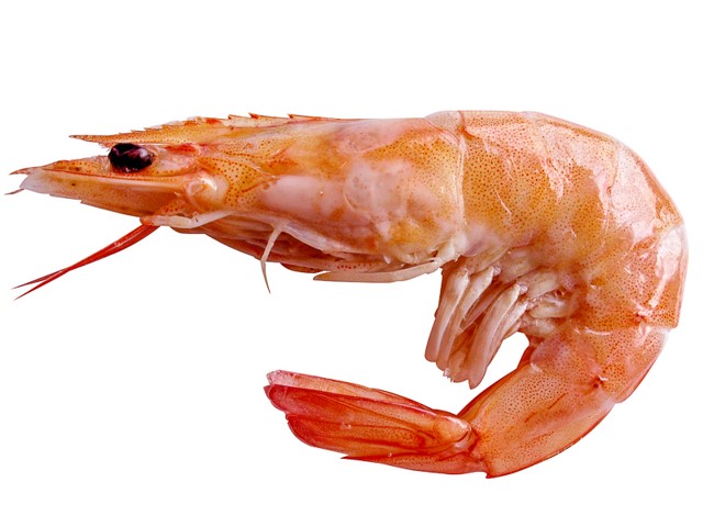 El camarón y sus diferentes recetas