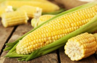 El maíz y sus diferentes recetas