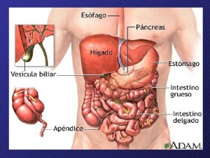 Cómo enfrentarnos al dolor abdominal derechoa