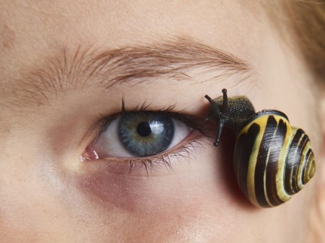 baba-caracoles-piel baba-caracoles-piel