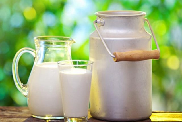 ¿Por qué es bueno tomar leche de vaca para tu salud?