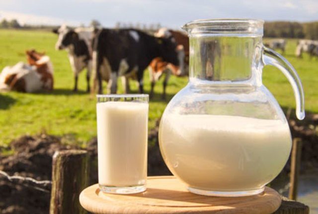 Beneficios de la leche de vaca para la salud