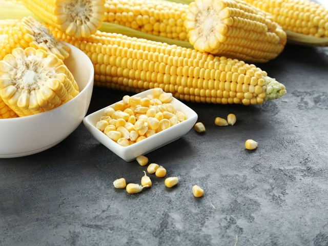 maíz