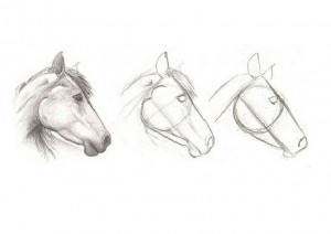 pasos para dibujar caballos
