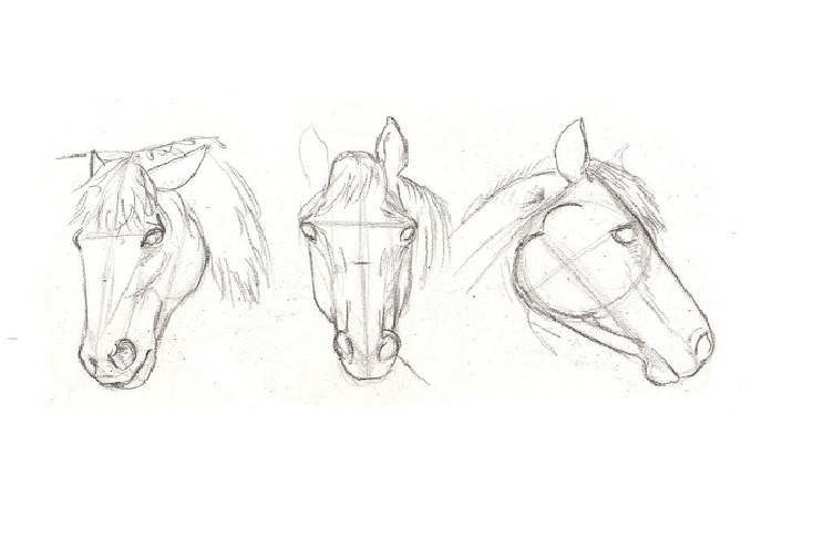 Cómo dibujar un caballoa